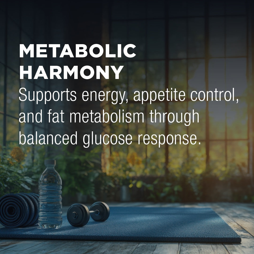 Baker's Paradise GLP-1 Friendly Bundle