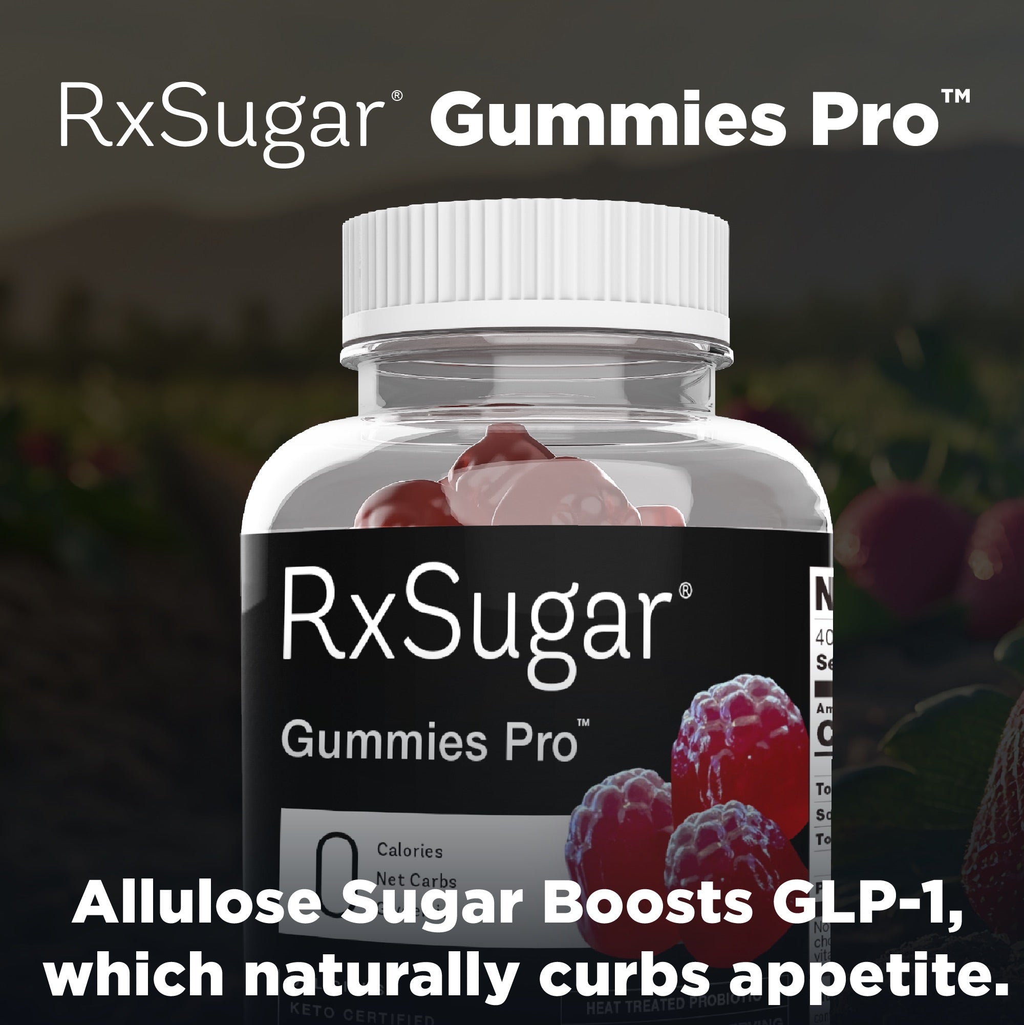 Gummies Pro - Keto Certified, Non-GMO Gummies Pro - Keto Certified, Non-GMO